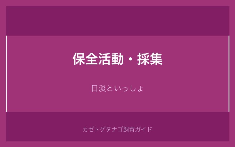 カゼトゲタナゴの保全活動・採集ルール