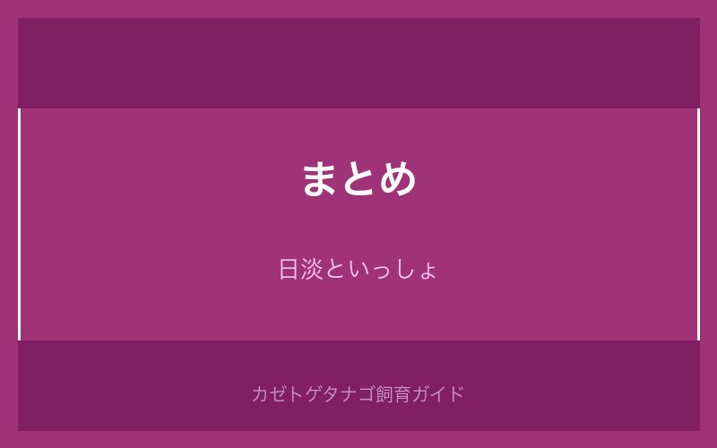 カゼトゲタナゴ飼育まとめ