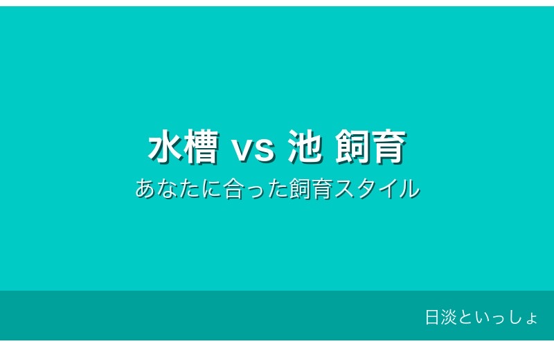 コイ 水槽飼育と池飼育の比較