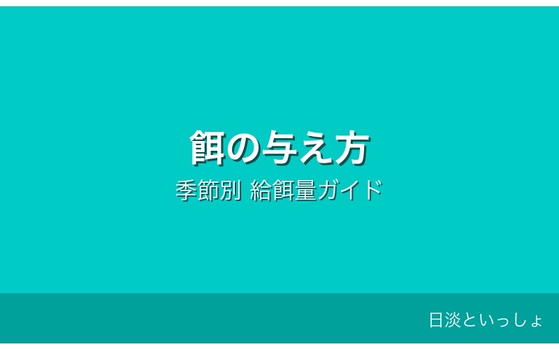 コイの餌の与え方