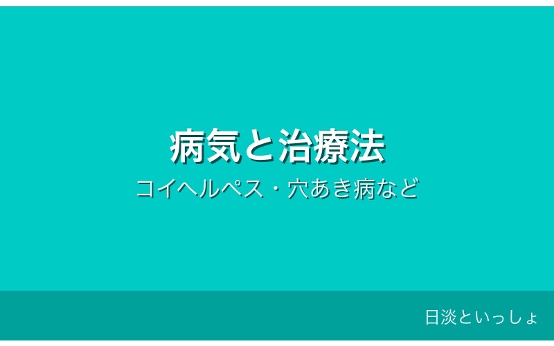 コイの病気と治療法