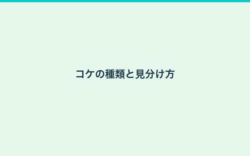 水槽にコケが発生する原因