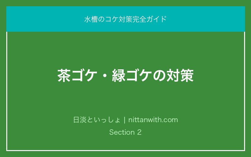 茶ゴケ・緑ゴケの対策｜水槽のコケ対策完全ガイド