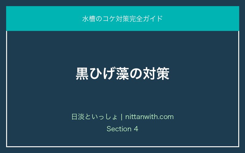 黒ひげ藻の対策｜水槽のコケ対策完全ガイド