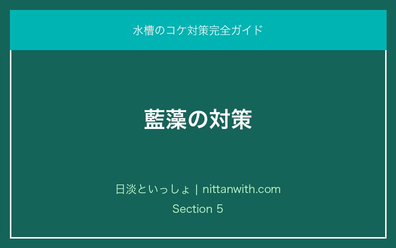 藍藻の対策｜水槽のコケ対策完全ガイド