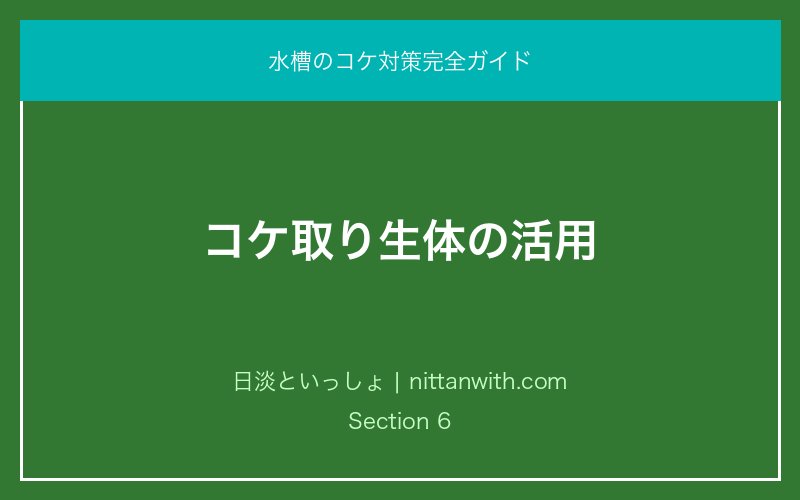 コケ取り生体の活用｜水槽のコケ対策完全ガイド