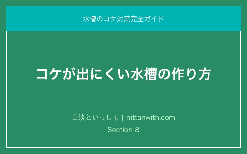 コケが出にくい水槽の作り方｜水槽のコケ対策完全ガイド