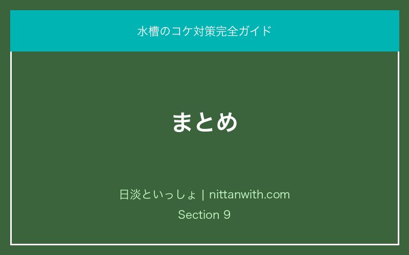 まとめ｜水槽のコケ対策完全ガイド