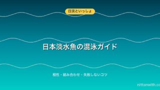 日本淡水魚の混泳ガイド