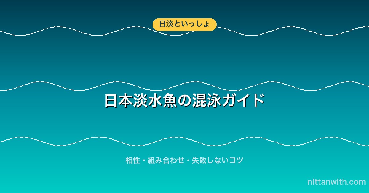 日本淡水魚の混泳ガイド