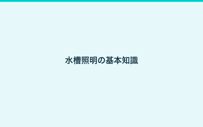 水槽照明の選び方ガイド