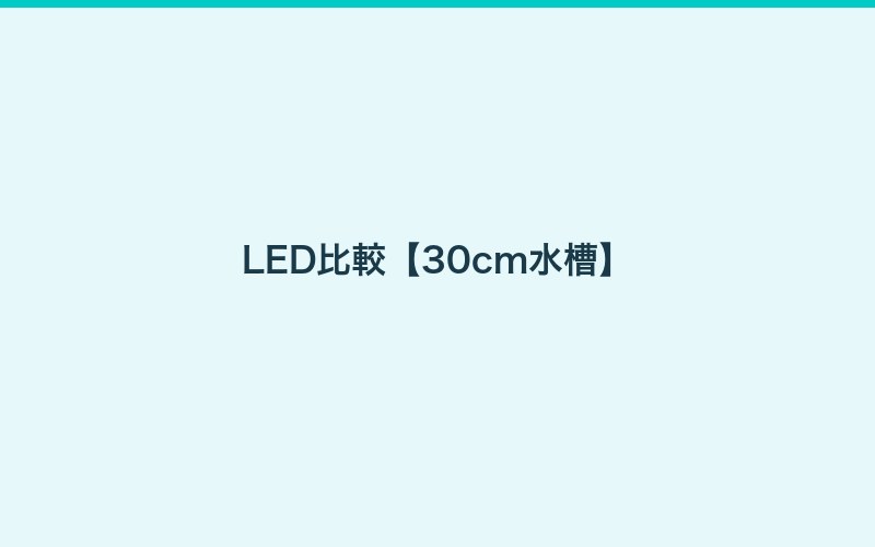 照明の選び方のポイント