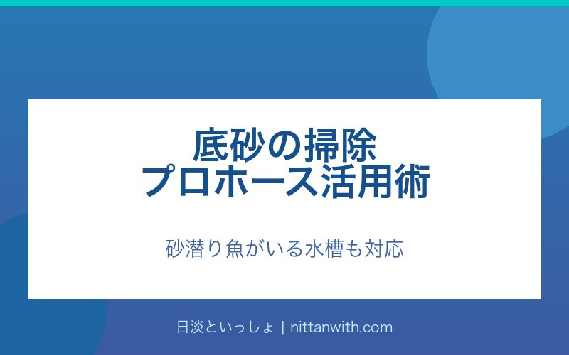 底砂の掃除プロホース