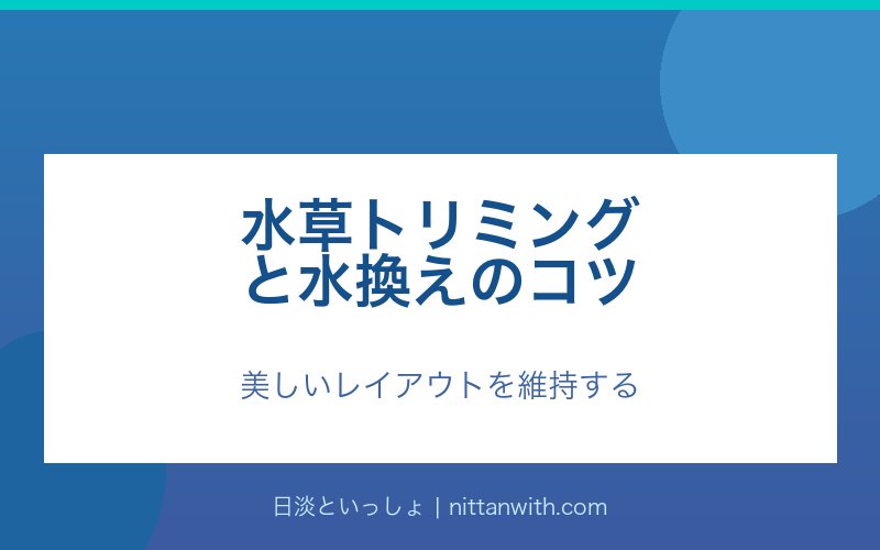 水草トリミングと水換え