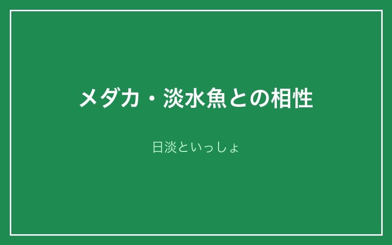 メダカ・淡水魚との相性