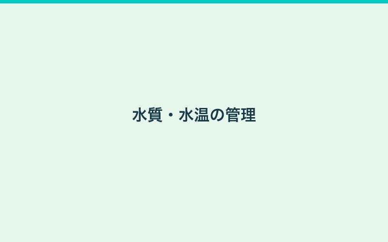 ミナミヌマエビの飼育に必要なもの