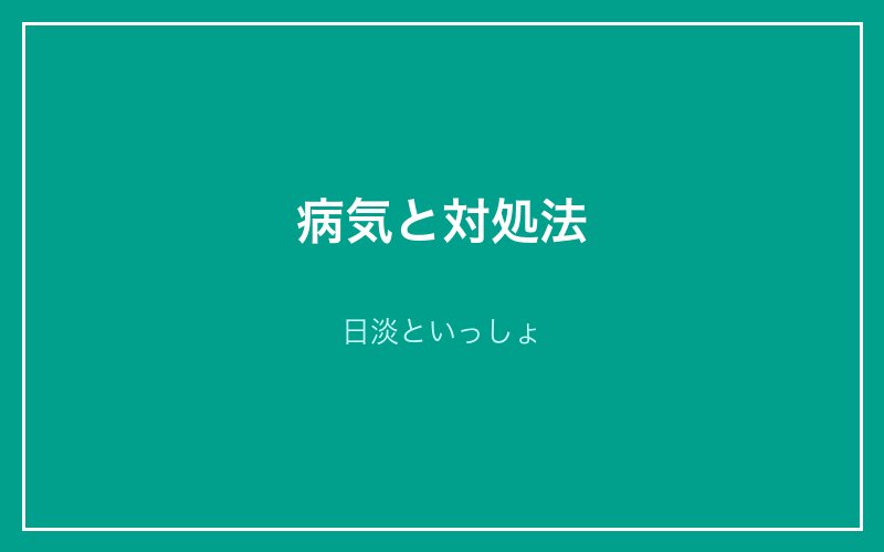 病気と対処法
