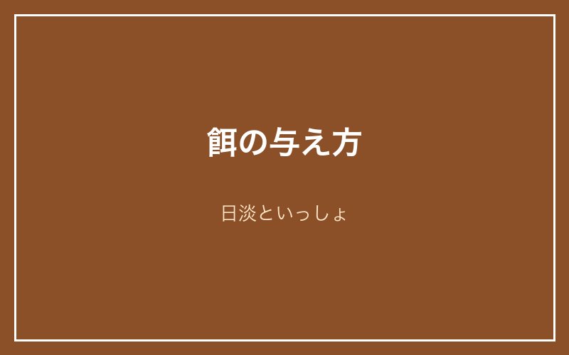 餌の与え方｜日淡といっしょ
