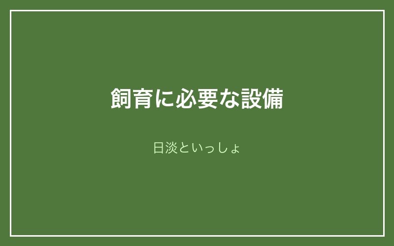 ムギツク飼育に必要な設備 - 日淡といっしょ