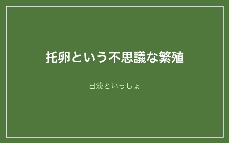 ムギツクの托卵という不思議な繁殖 - 日淡といっしょ