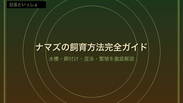 ナマズの飼育方法完全ガイド