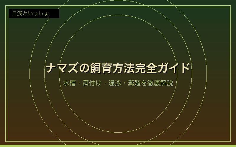 ナマズの飼育方法完全ガイド