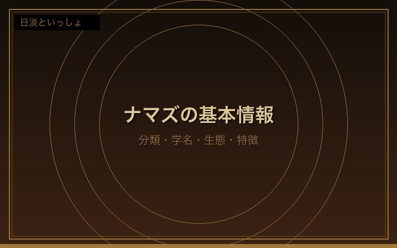 ナマズの基本情報