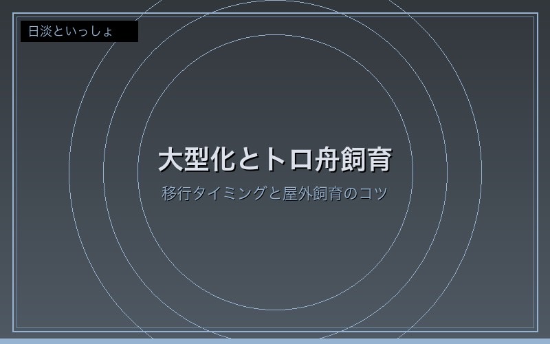 大型化とトロ舟飼育