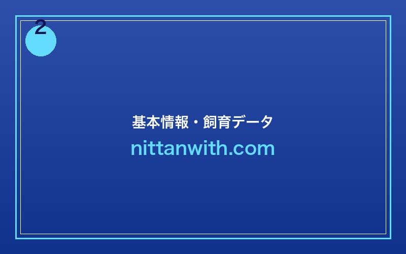 ネオンテトラ基本情報・飼育データ