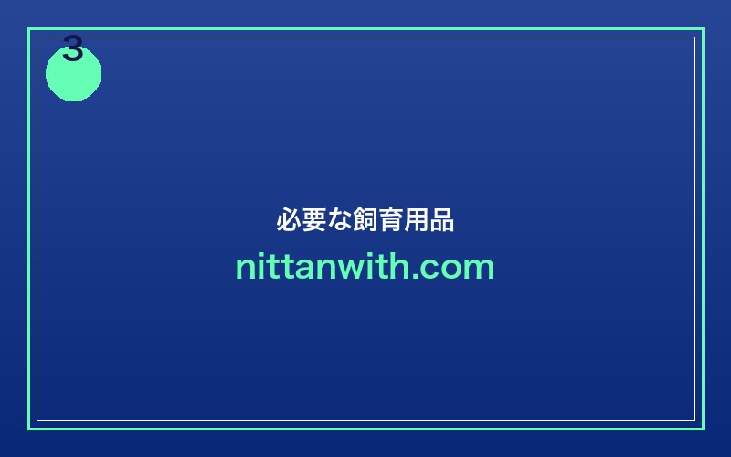 ネオンテトラ飼育に必要な用品