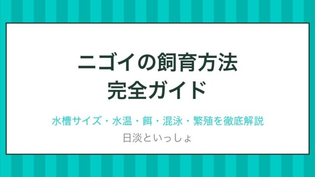 ニゴイの飼育方法完全ガイド アイキャッチ