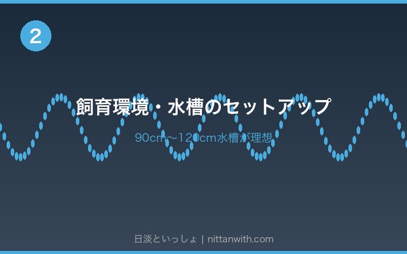 ニホンウナギを入手する方法 - ショップ購入と天然採集