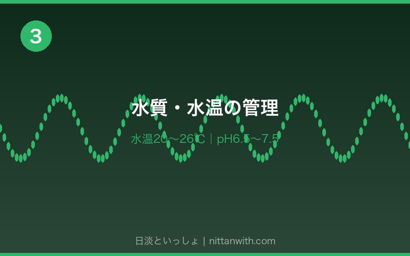 ニホンウナギの飼育環境 - 90cm水槽セットアップ