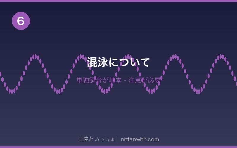 ニホンウナギの脱走対策 - 蓋の隙間をすべて塞ぐ