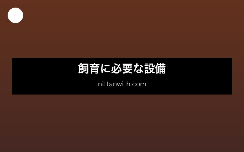 ニホンザリガニの基本情報と生態