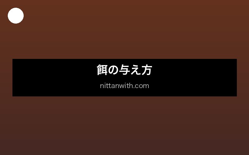 ニホンザリガニの入手方法