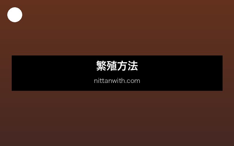 ニホンザリガニの水質管理