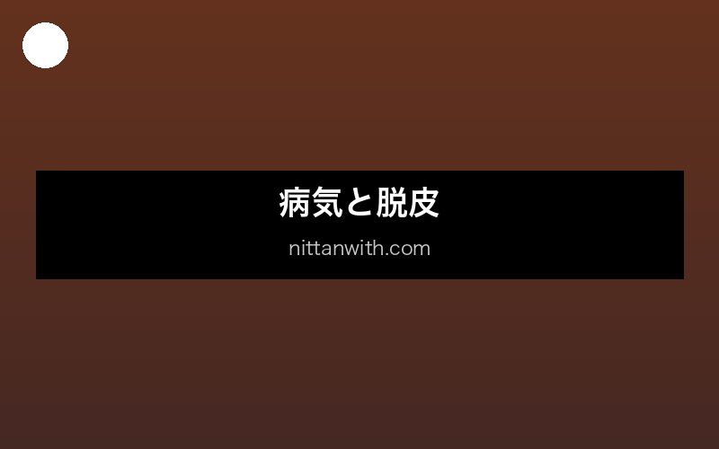 ニホンザリガニの餌