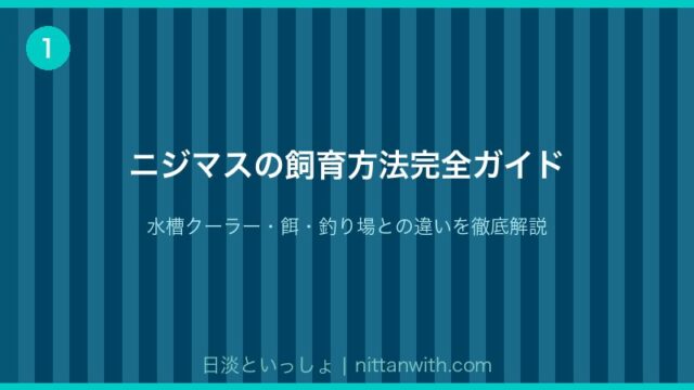 ニジマスの飼育方法完全ガイド