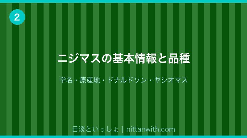 ニジマスの基本情報と品種一覧