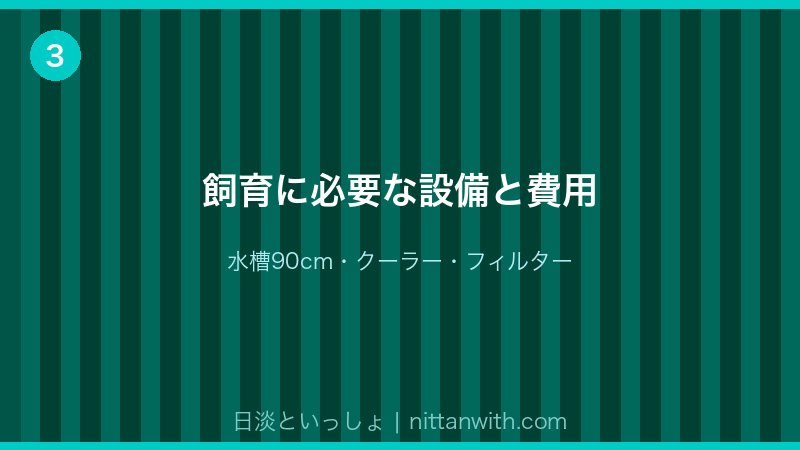 ニジマス飼育に必要な設備と費用