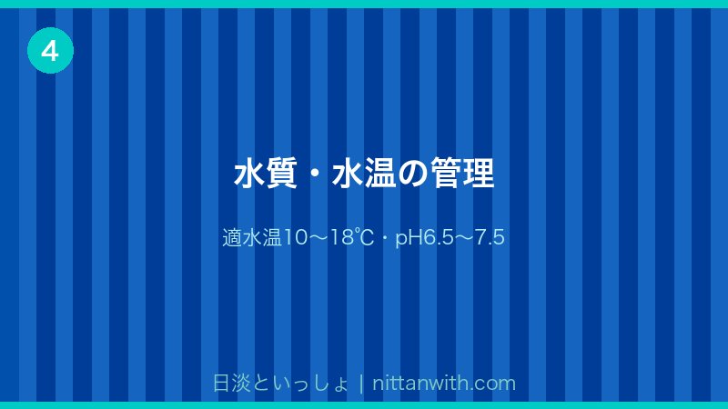 ニジマスの水質・水温管理
