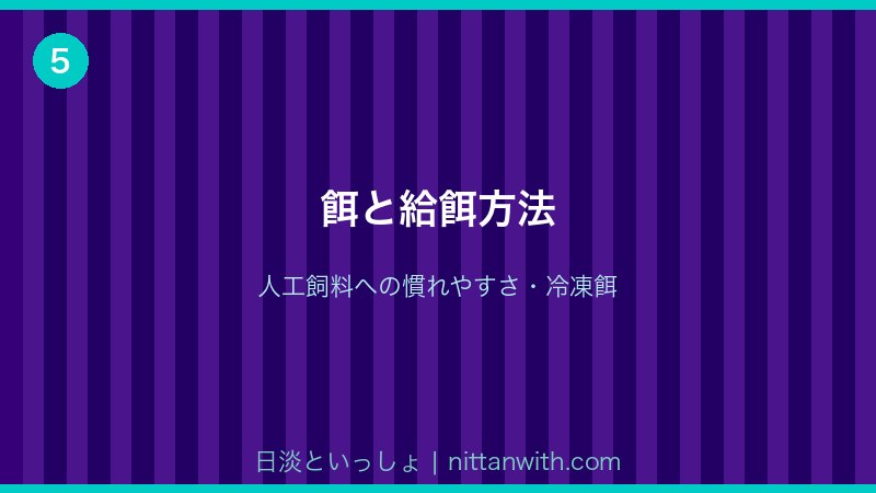 ニジマスの餌と給餌方法