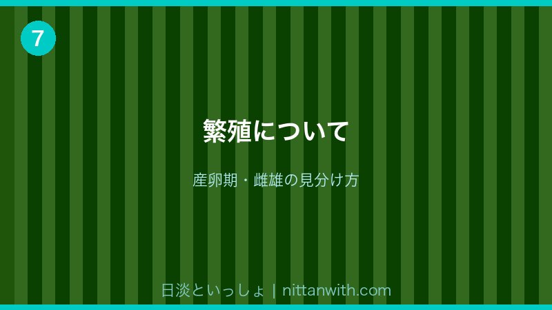 ニジマスの繁殖について