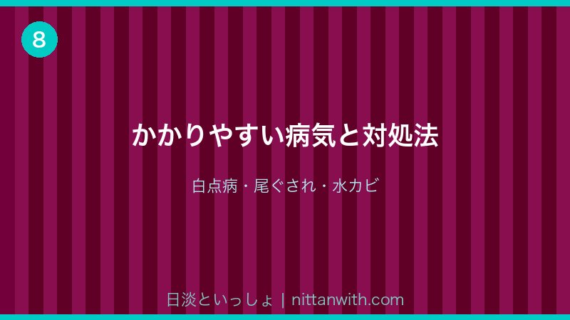 ニジマスのかかりやすい病気と対処法