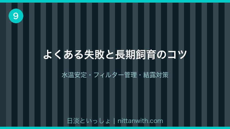ニジマスの失敗と長期飼育のコツ