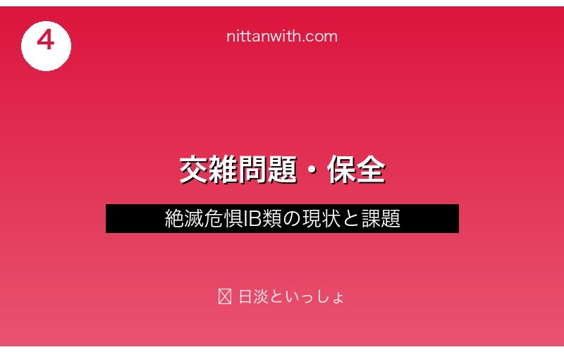 ニッポンバラタナゴの交雑問題と保全活動