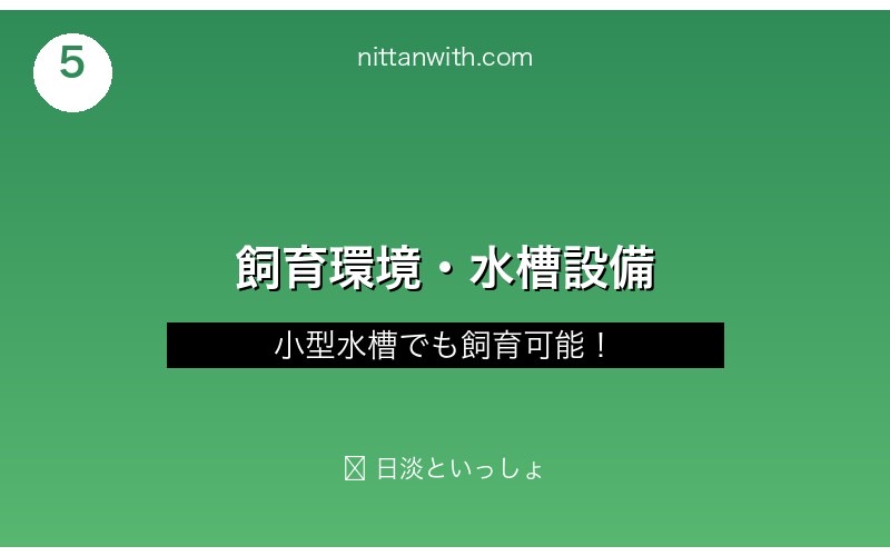 ニッポンバラタナゴの飼育環境・水槽設備