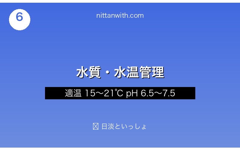 ニッポンバラタナゴの水質・水温管理