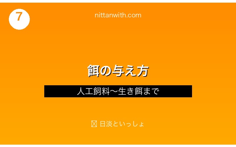 ニッポンバラタナゴへの餌の与え方